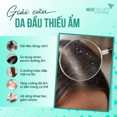 Da-dau-thieu-am (1)