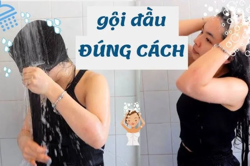 Gội đầu là bước làm sạch thiết yếu trong chu trình chăm sóc tóc, da đầu