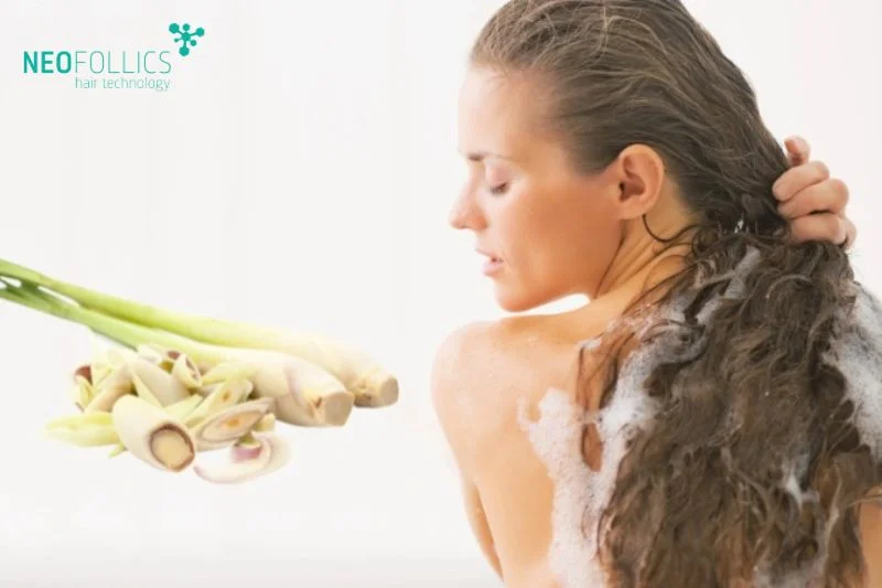 Sả có hiệu quả trong việc ngăn ngừa tình trạng tóc bị gãy rụng, tốt cho người có mái tóc mỏng thưa, dễ rụng
