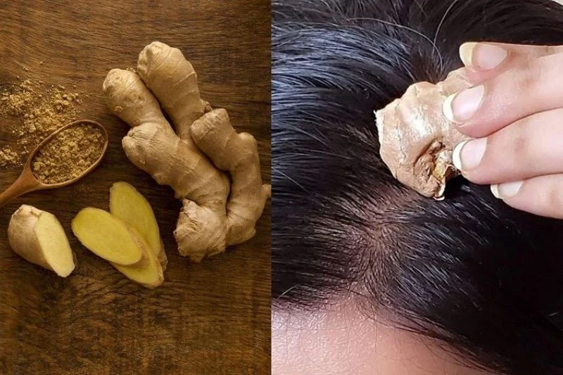 Massage da đầu bằng gừng có tác dụng kích thích lưu thông máu đến nang tóc giúp tóc nhanh dài