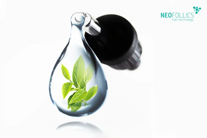 Dưỡng chất EGCG trong Neofollics được tối ưu hóa với kích thước nano, hấp thụ nhanh và hiệu quả vào sâu trong da đầu