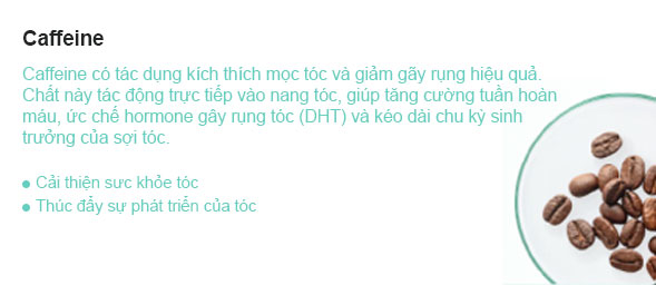 Caffeine có tác dụng kích thích nang tóc, làm tăng sự phát triển của tóc và giúp tóc chắc khỏe hơn