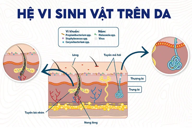 Duy trì da đầu khỏe mạnh chính là chìa khóa gốc rễ để nuôi dưỡng mái tóc khỏe mạnh từ bên trong
