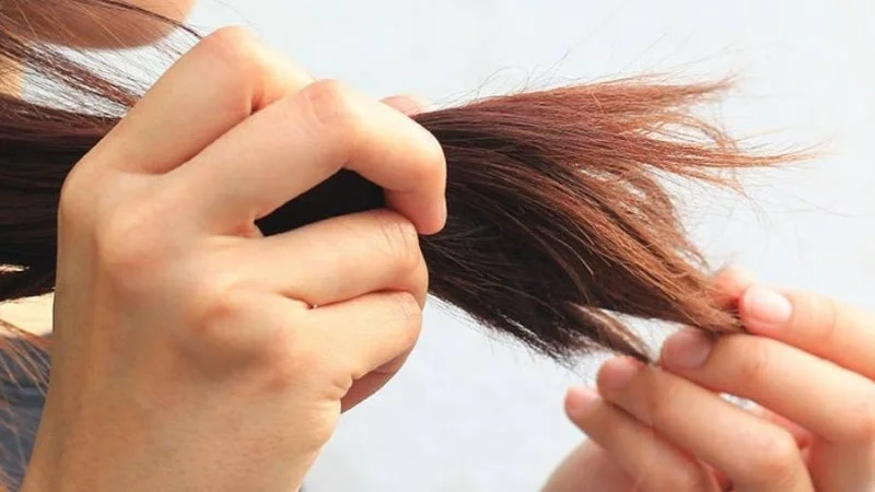 Tóc rễ tre là loại tóc dày, khô cứng, thiếu độ ẩm và khó vào nếp