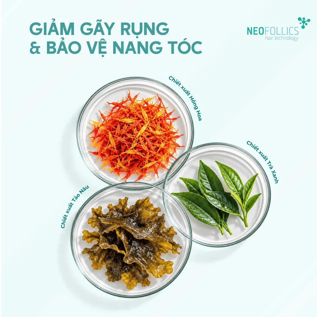Dau-goi-neofollics-giam-gay-rung