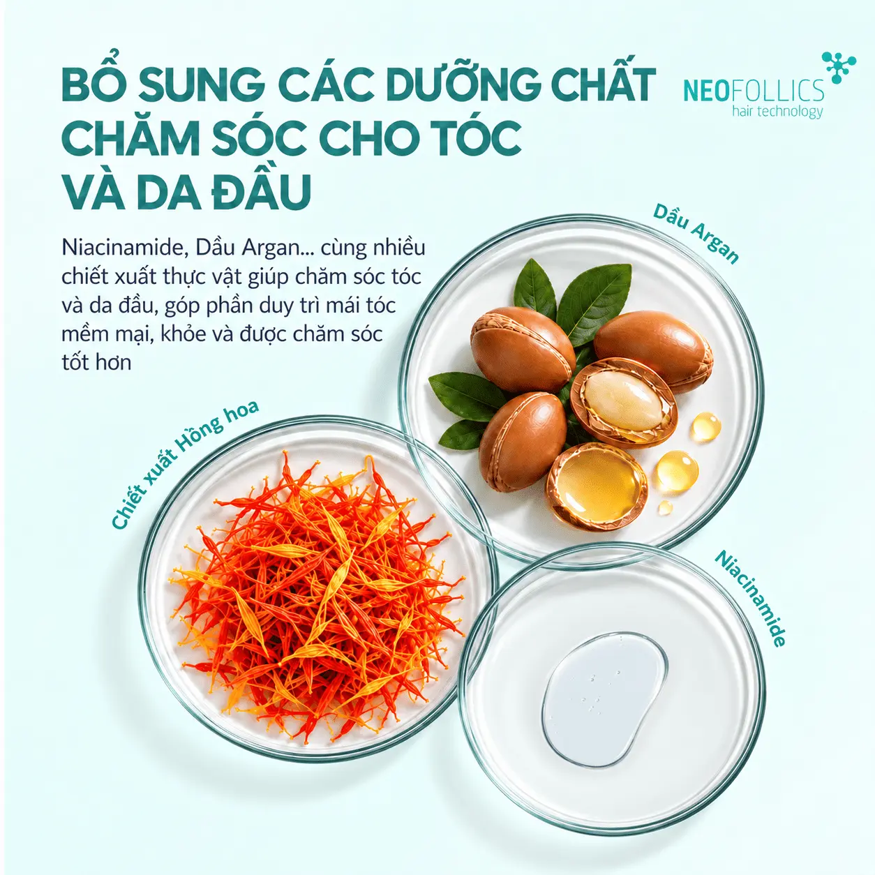 Niacinamide, Dầu Argan... cùng nhiều chiết xuất thực vật giúp chăm sóc tóc và da đầu cho mái tóc mềm mại