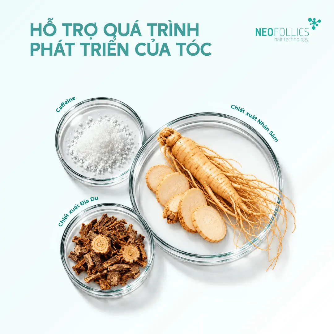 Neofollics-ho-tro-moc-toc
