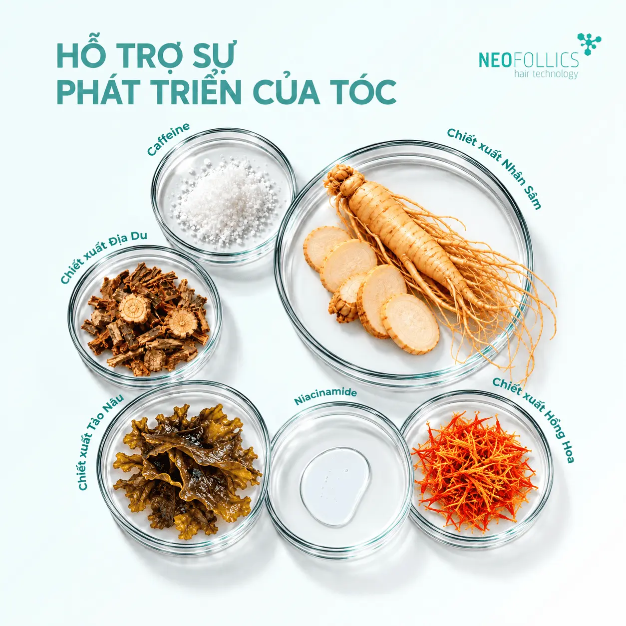 Neofollics-ho-tro-su-phat-trien-cua-toc